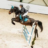 m.b_equestrian