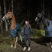 alkuperäinen ääni