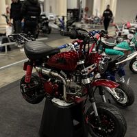limppu_011
