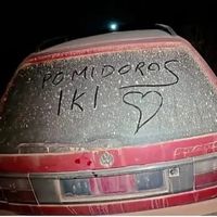 tsg_pomidorelis