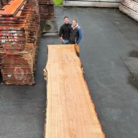woodfornature
