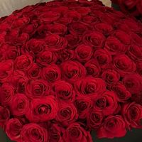 carmenbalmforth6