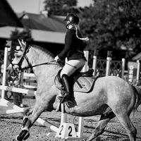 mv.sshowjumping