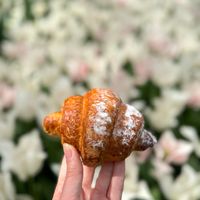 travellingcoeliac