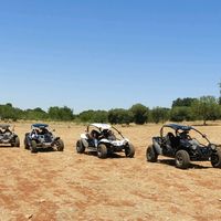 puglia_buggy
