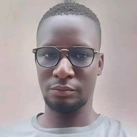martking.le.lion1