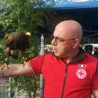 zanettidenis74
