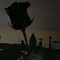 yourobsession._