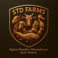 std.farms.ghana