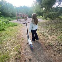 LIVET PÅ EN PINNE