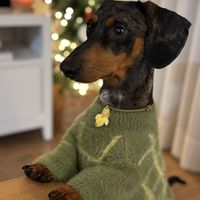 dantelteckel