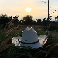 manuzel10
