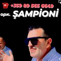 rujdi.sampion