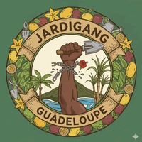 ludovic.bapaume