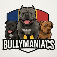 bullymaniacs