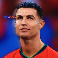 skyvicx10
