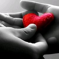 heartforever2025
