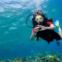 original sound - diving_king7