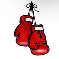 boxingclipper