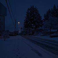 .1elm