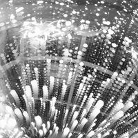 Extrait Bonne Année EMMA