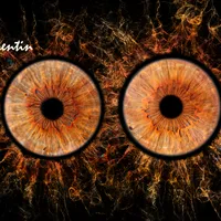 original sound - tricktrock95