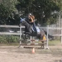 original sound - ab_showjumper7