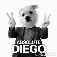 grinehullet.falensteen