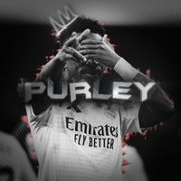 purely.tech1