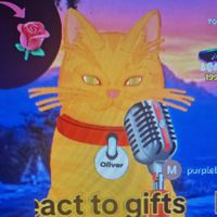 cat Meows loudly
