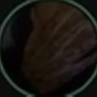 original sound - pretty.babezz