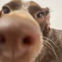 original sound - silviaw19