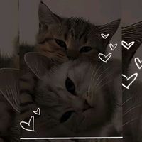 alja.gd