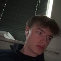 noahhamburgo
