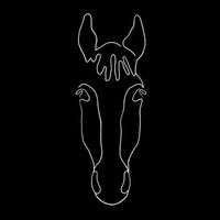 singersporthorses