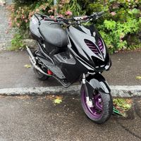 roxxen_max1