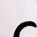 er_fior3