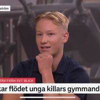 mini_hulken