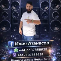 original sound - shamarabarberstil