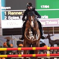 amh.horses