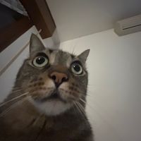 andrew.spam_