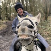 equinerach_