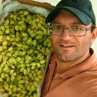 πρωτότυπος ήχος