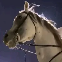 original sound - dawooooood15