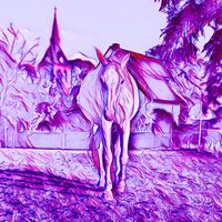 tatis_schimmelchen