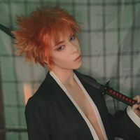 lit_cos_