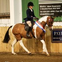 amiracurranequestrian