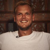 avicii.timbergling