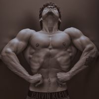 maxcison
