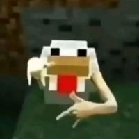 pigghiy